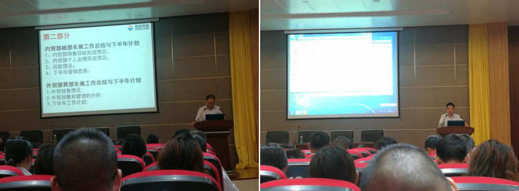 大宝娱乐特瓷2020年半年度营销事情总结大会圆满举行