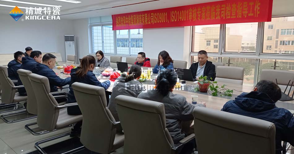 大宝娱乐特瓷ISO14001情形治理系统认证评估审核